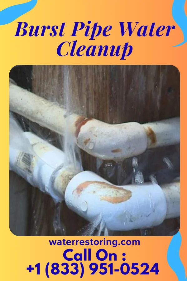 Burst Pipe Water Cleanup in Oak Valley, NJ